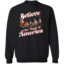 Believe In The Magic Of America Sweatshirt