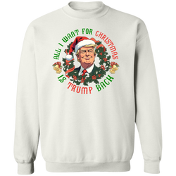 All I Want For Christmas Is Just Trump Back Sweatshirt