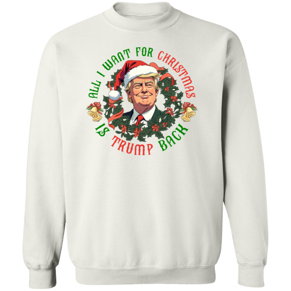 All I Want For Christmas Is Just Trump Back Sweatshirt