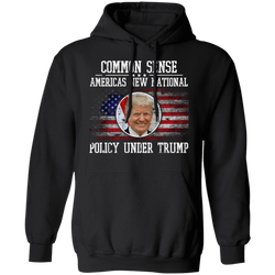 Common Sense: America’s New National Policy Under Trump Hoodie