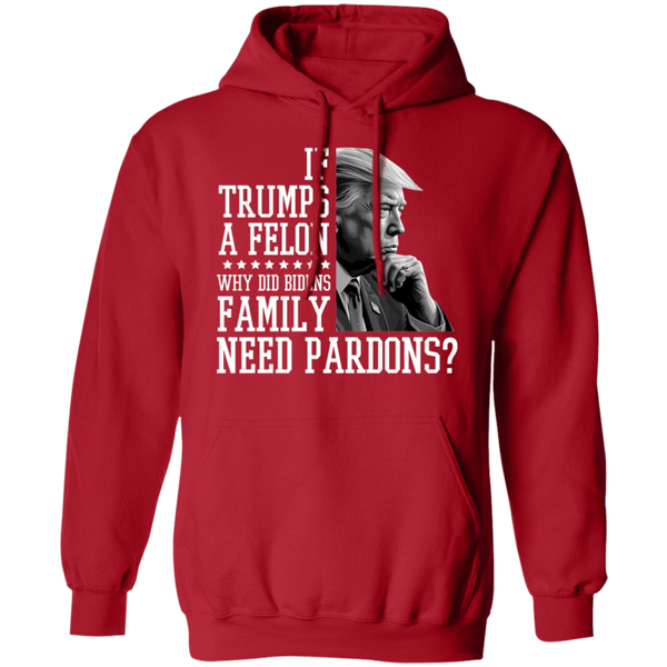 If Trump’s a Felon Hoodie