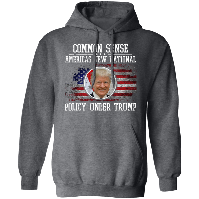 Common Sense: America’s New National Policy Under Trump Hoodie