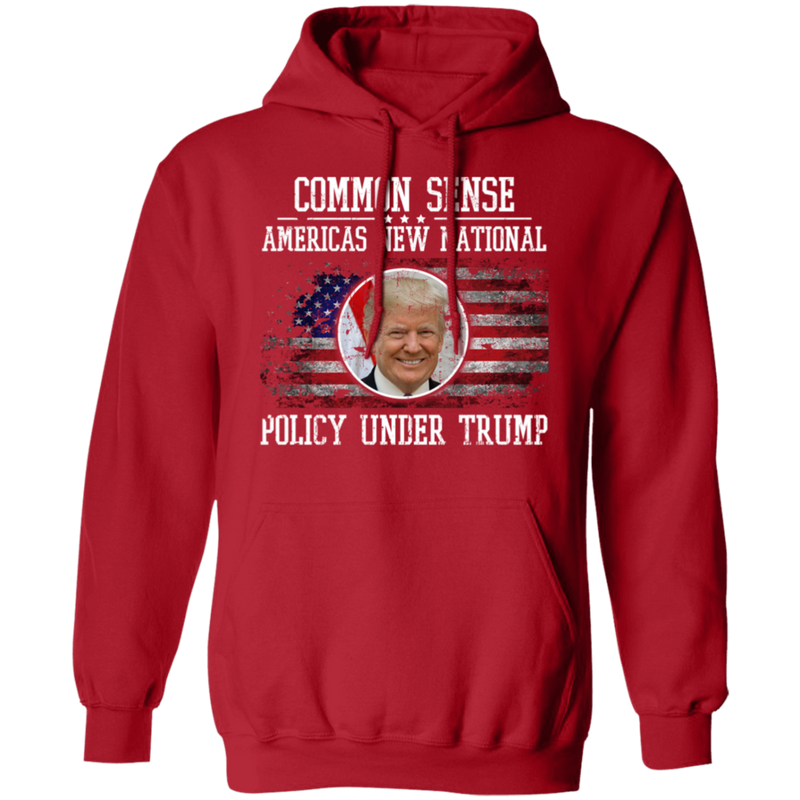 Common Sense: America’s New National Policy Under Trump Hoodie