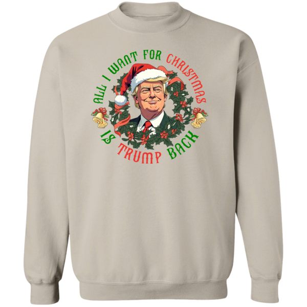 All I Want For Christmas Is Just Trump Back Sweatshirt