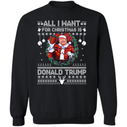 All I Want For Christmas Is Donald Trump Sweatshirt